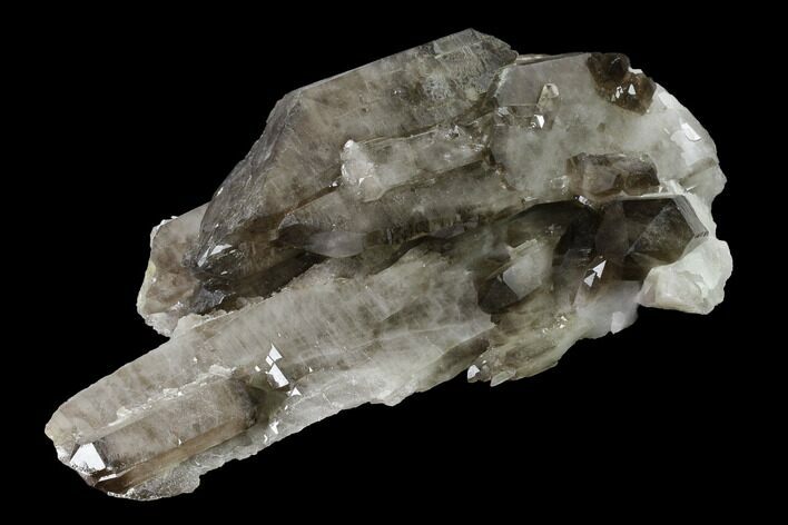 Unique, Smoky Quartz Crystal Cluster - Brazil #136170